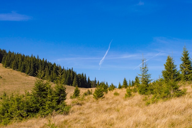 Nature mountain landscape on the background of the sky