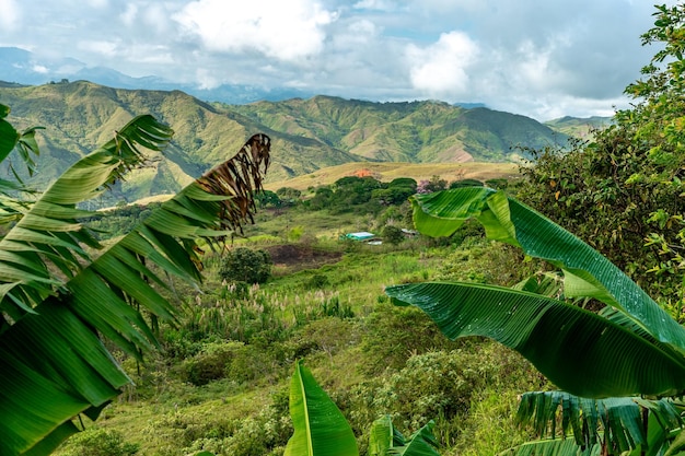 Nature in the mountain landscape of Colombia