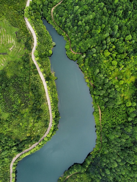 Nature photography captured by drone