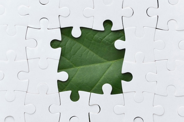 Nature puzzle piece