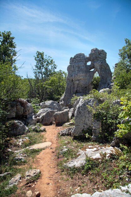 Nature reserve Le Bois de Paiolive in the Ardeche Cevennes France Natural sculpture bear and lion