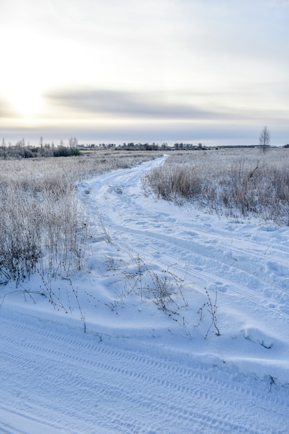 Nature of Russia in a frosty winter