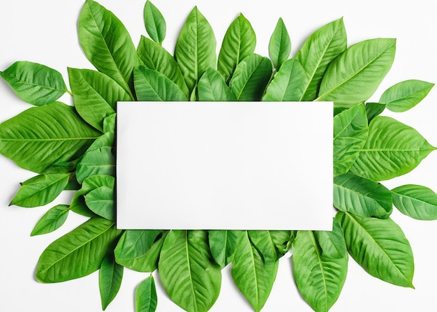 Nature's Artistry Paper Frame with Green Leaf Border Isolated on White Background for Creative Projects