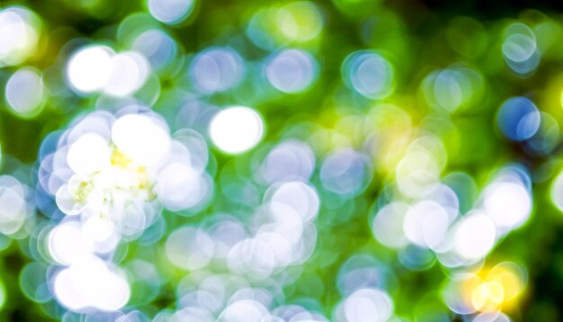 Nature's Enchantment Free Photo with Bokeh Effect Embrace the Beauty of the Outdoors