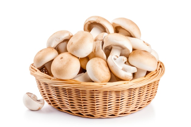 Nature's Harvest A basket of fresh raw champignon mushrooms isolated for a closer look Organic healthy ingredients from the heart of nature