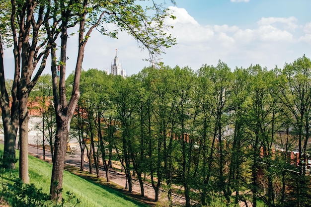 Nature sights architecture and life of the city of Moscow