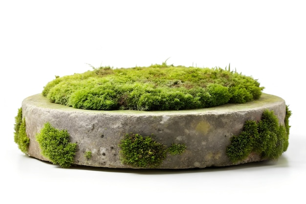 nature stone with moss display podium isolated