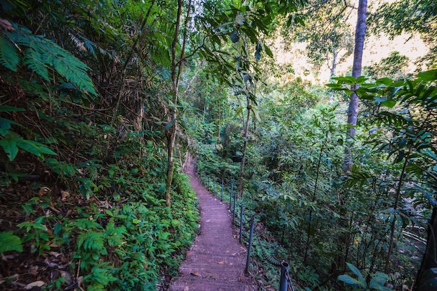 Nature trail at Sapan waterfall nan ThailandSapan is Small and tranquil Village in the mountain