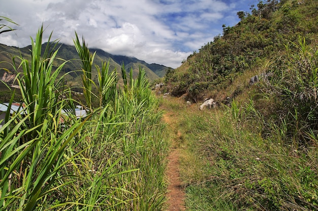 Nature of the valley of Wamena, Papua, Indonesia