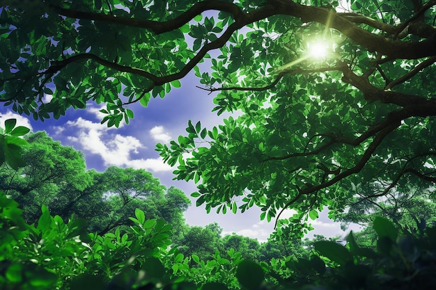 Nature View of Fresh Green Leaves Tree Branch in Forest with Sunlight on Blue Sky