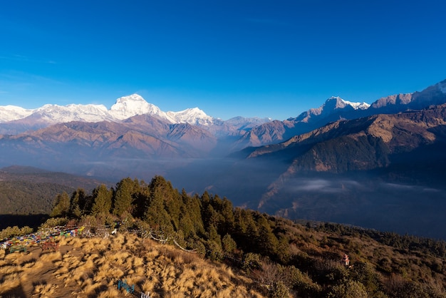 Nature view of Himalayan mountain range at Poon hill view point, Nepal.