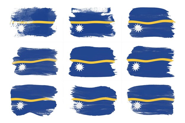 Nauru flag brush stroke, national flag on white background