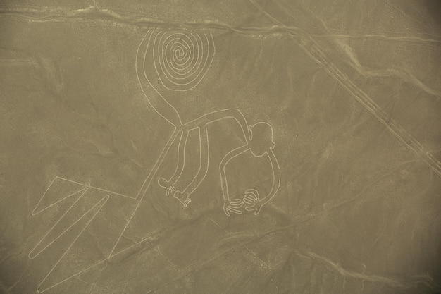 Nazca Lines The Monkey