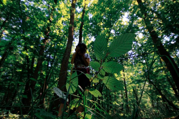 Photo neada longozu a natural freedom is located in the kyky area of krklareli