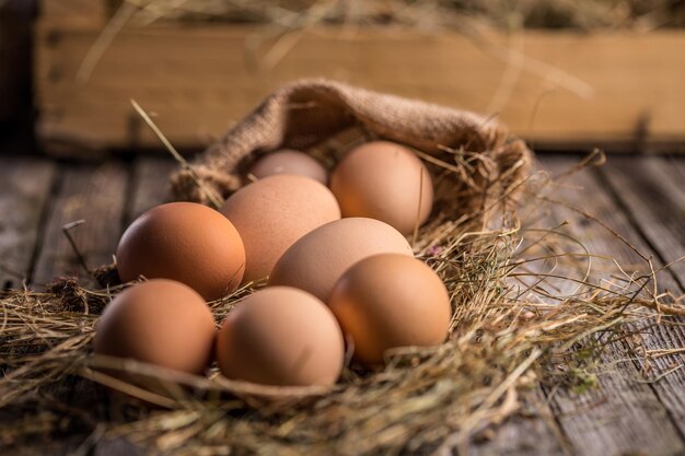 Nest with brown eggs