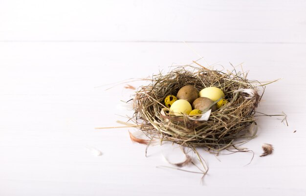 Nest with colored easter eggs on white wooden table