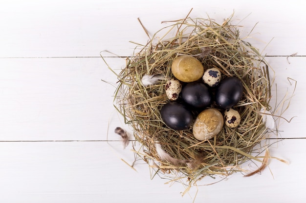 Nest with colored easter eggs on white wooden table