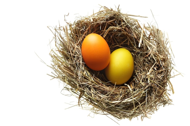 Nest with easter eggs