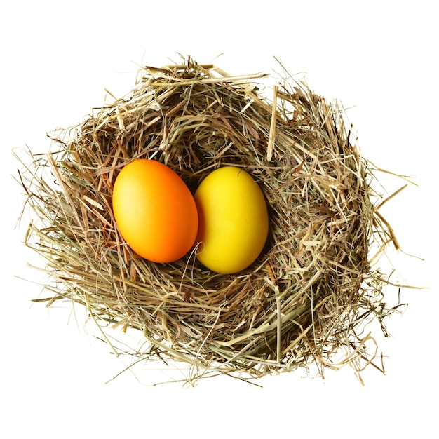 Photo nest with easter eggs