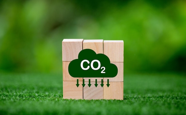 Net zero greenhouse gas emissions reduction with carbon credit concept Reduce carbon dioxide