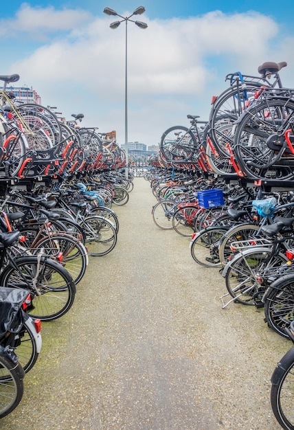 Netherlands. A day in Amsterdam. Duplex bicycle parking