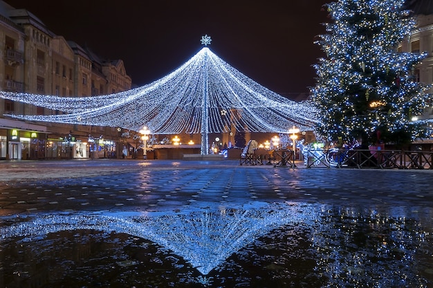 Netting with lights. Christmas decoration. Night scene.