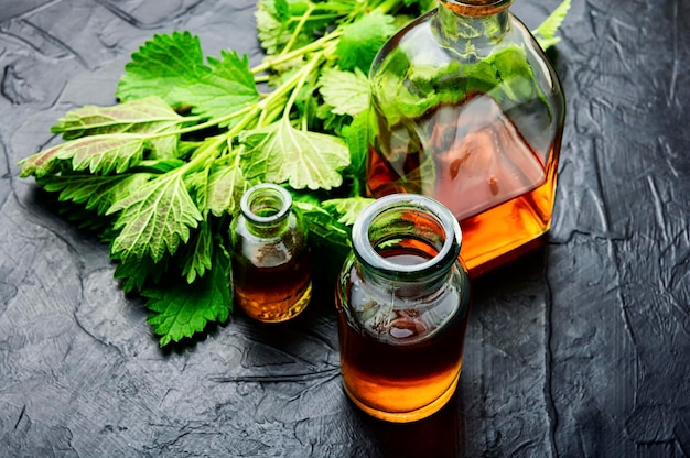 Nettle essence in glass bottle and fresh nettle leaves.Stinging nettles in herbal medicine