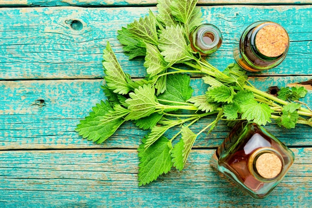 Nettle essence oil in glass bottle and fresh nettle leaves.Urtica dioica or stinging nettle.Alternative medicine concept