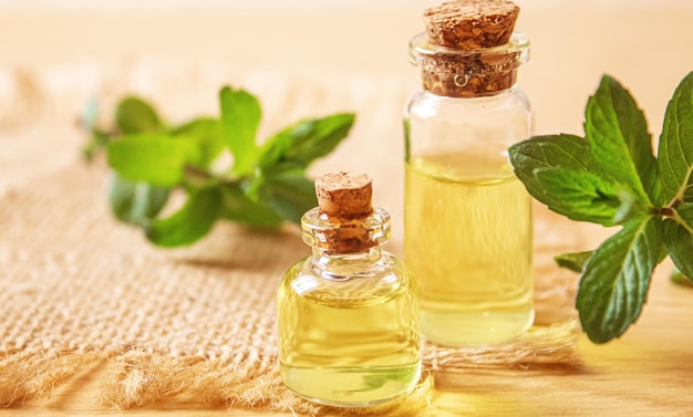 Nettle extract in a small jar Selective focusnature