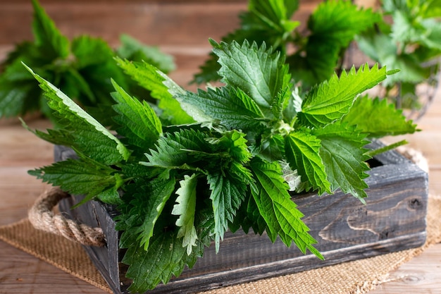 Nettle leaves on wooden background