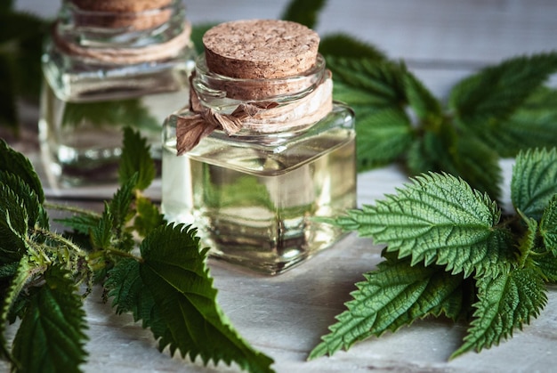 Nettle tincture in glass bottles Urtica dioica fresh leaves on wooden table