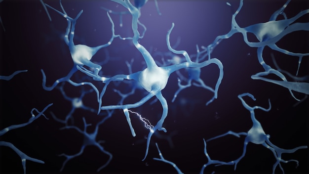 Neuron cells connections