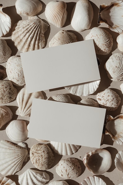 Neutral beige and white seashells pattern background Blank paper card sheet with empty mock up copy space Aesthetic minimalist blog social media template