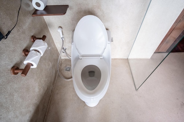 New ceramic toilet bowl and toilet paper Cleaning WC Lifestyle and personal hygiene concept