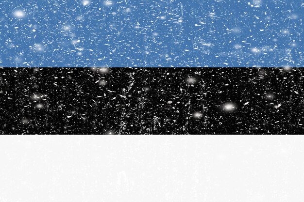 New concept Estonia flag White messy wall stucco texture background Estonia flag paint Estonia flag history Estonia new flag