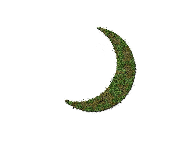 New moon green forest tree on isolated white background. It can use for the new year, safe and fresh