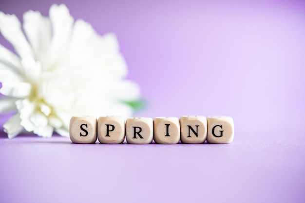 The new season of the year, spring, spring word on a purple background, with flowers behind, March 20/21 northern hemisphere, September 22/23 southern hemisphere, climate change