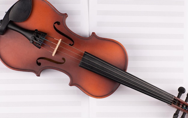 new violin on white background