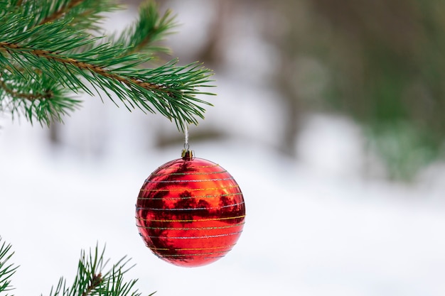 New Year's decoration hangs on a christmas tree in nature. High quality photo