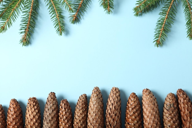 New Year's Eve background with fir branch and cones.