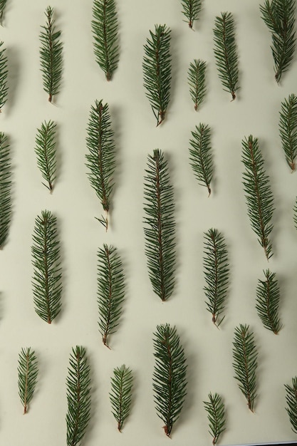 New Year's Eve background with fir branch and cones.