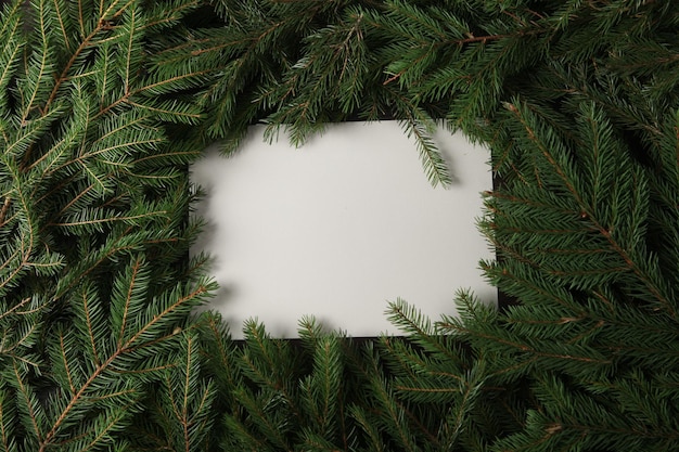 New Year's Eve background with fir branch and cones.