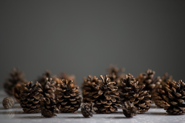 New Year's still life forest of pine cones on a whitegray background