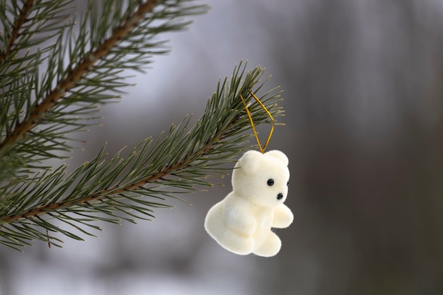 New Year's toy white teddy bear hangs on a branch of a Christmas tree in the woods. High quality photo