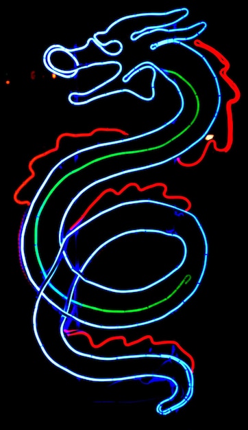 New Year spruce snowman dragon A snake with a green light that says snake