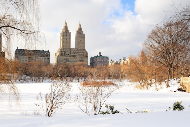 New York City Manhattan Central Park in winter