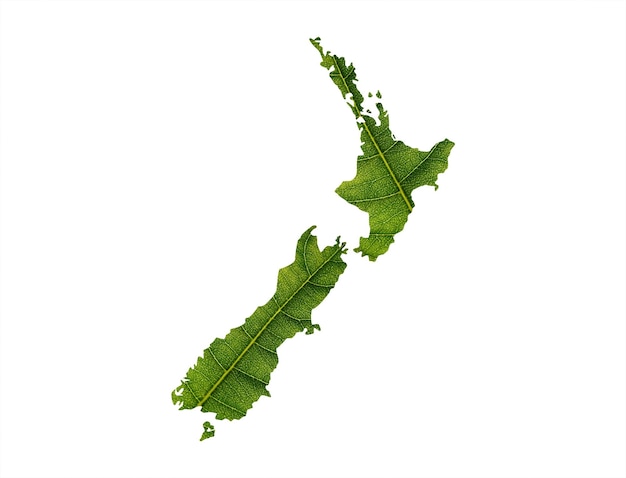 New Zealand map made of green leaves on soil background ecology concept