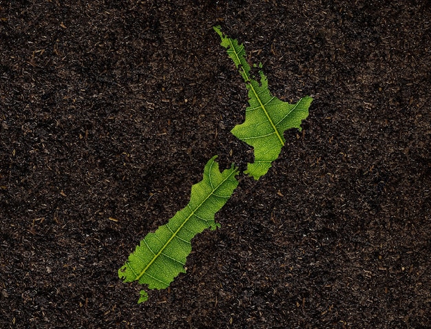 New Zealand map made of green leaves on soil background ecology concept