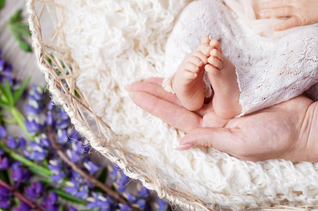 Newborn baby feet in mother hands.  Close up image. Happy family concept.