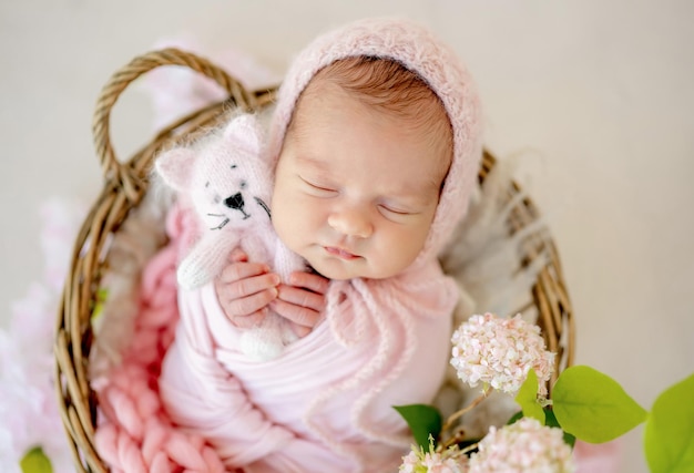 Newborn baby girl holding knitted kitty cat toy and sleeping swaddled in fabric in basket decorated with flowers. Infant female child kid napping pink color studio portrait closeup